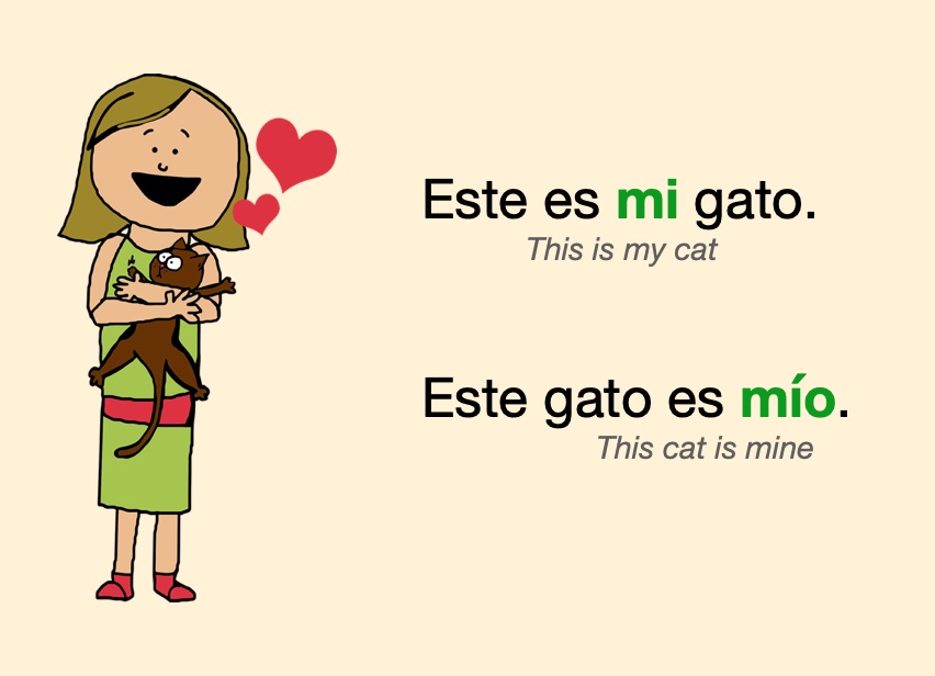 Spanish POSSESSIVE Adjectives Learn And PRACTICE